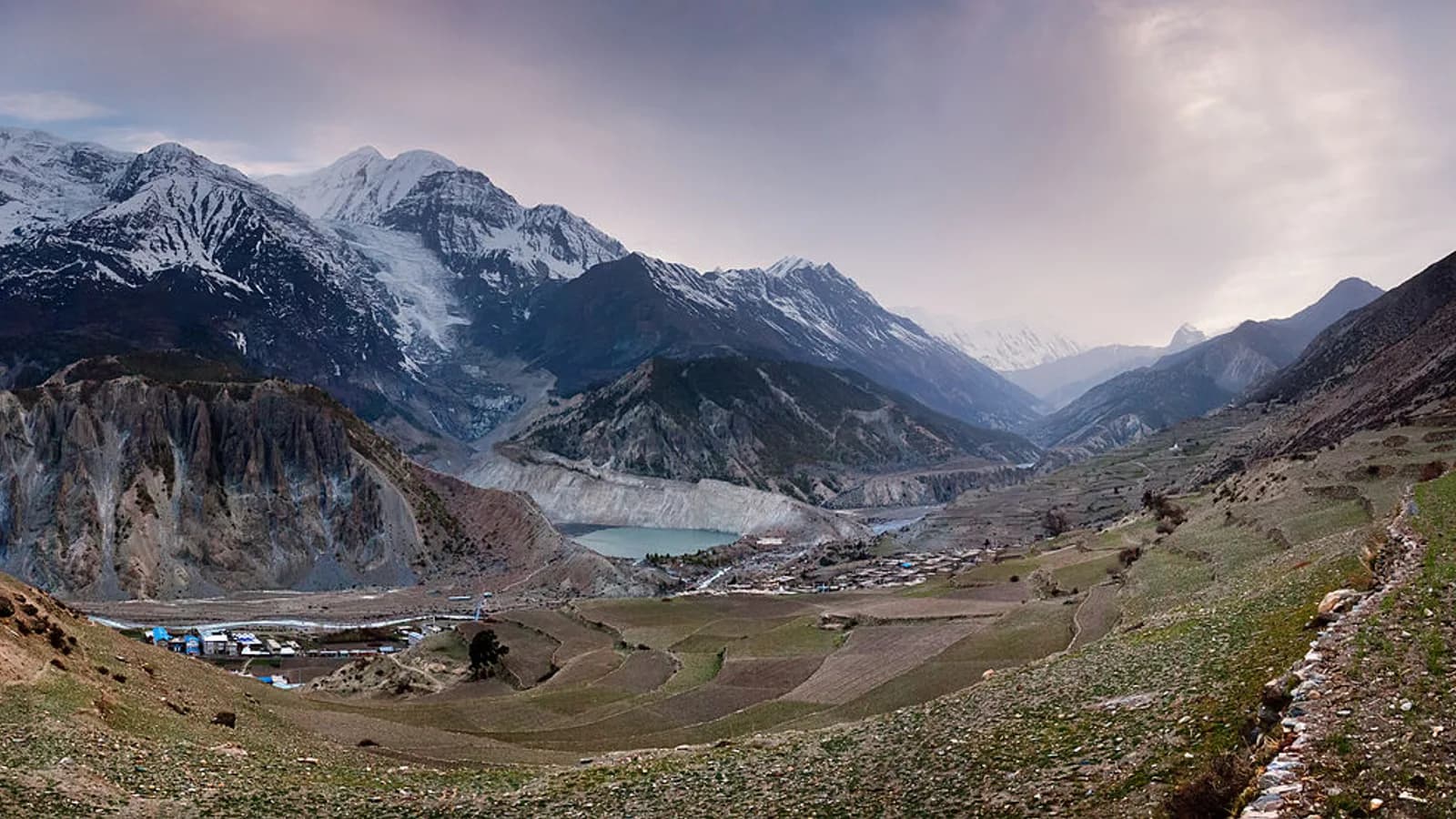 Panorama of the snow-capped Annapurna massif rising above forested ridges in central Nepal.