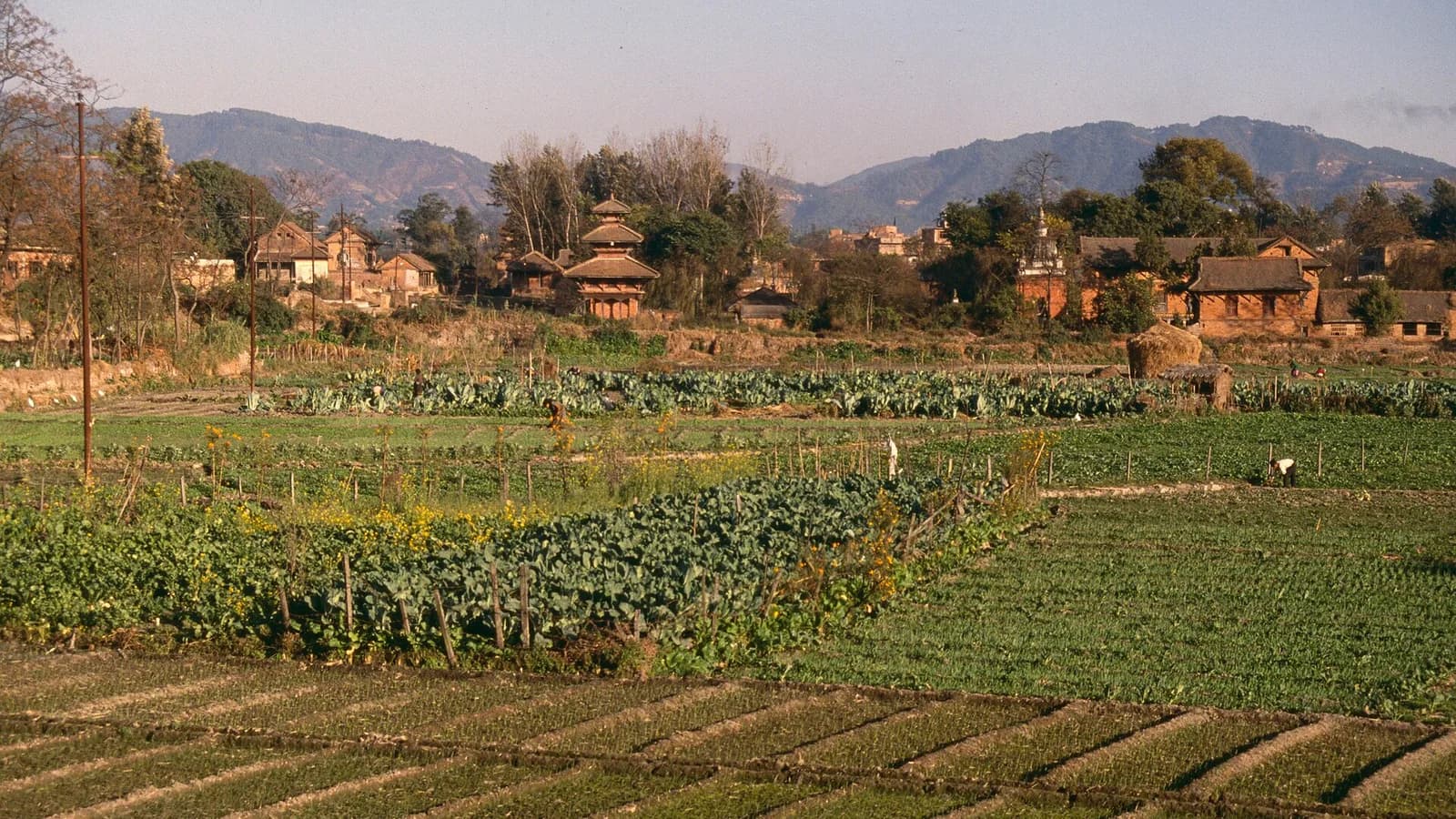 A rural landscape in the Kathmandu Valley, where the Cricket Association of Nepal is headquartered