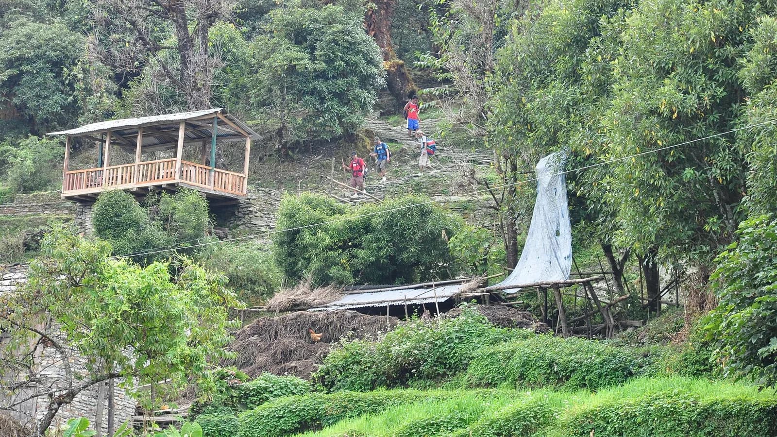 Forested ridge and terraced hillside inside the Annapurna Conservation Area in Nepal