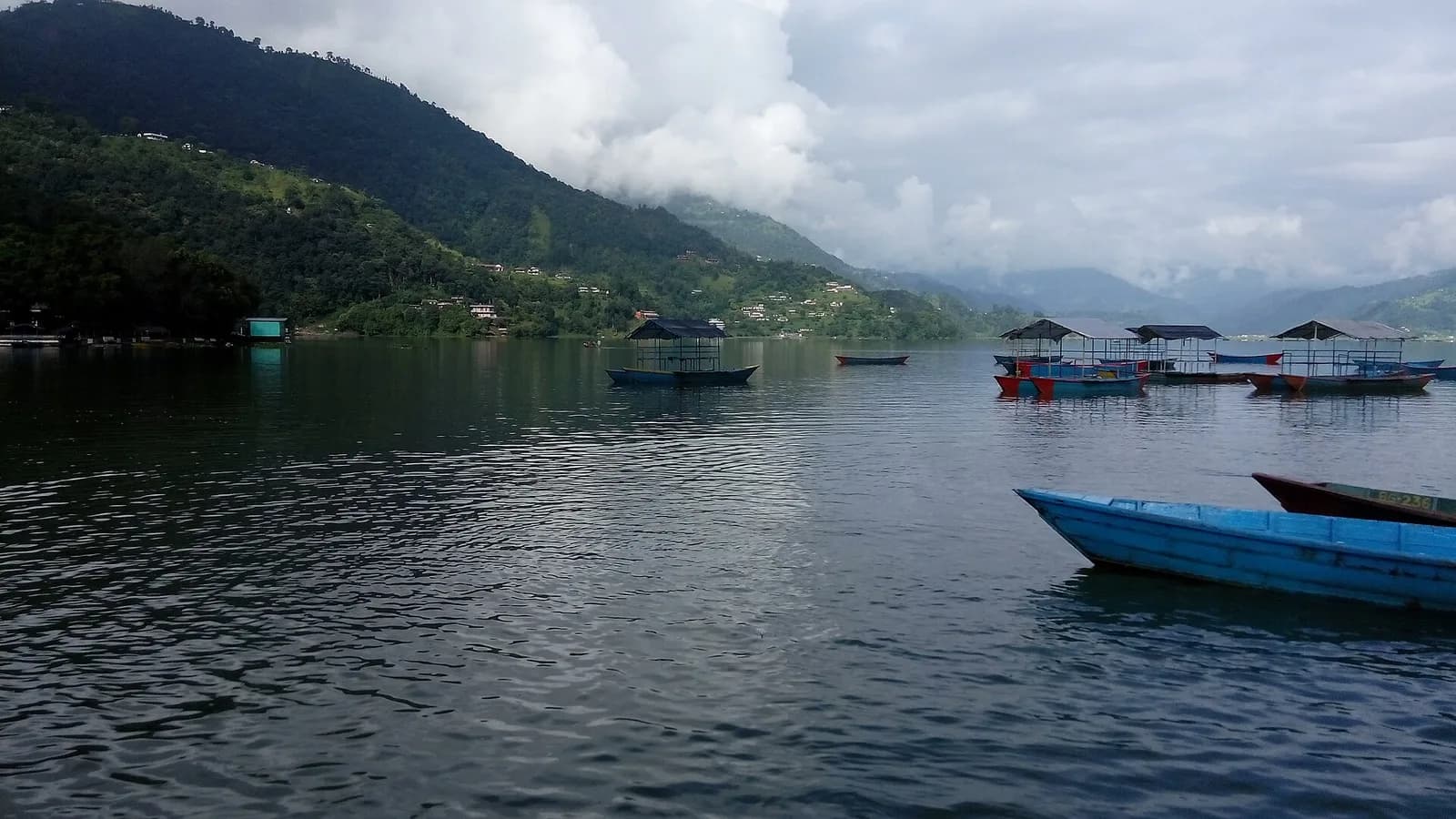 Brightly painted wooden boats moored on the green water of Fewa Lake in Pokhara