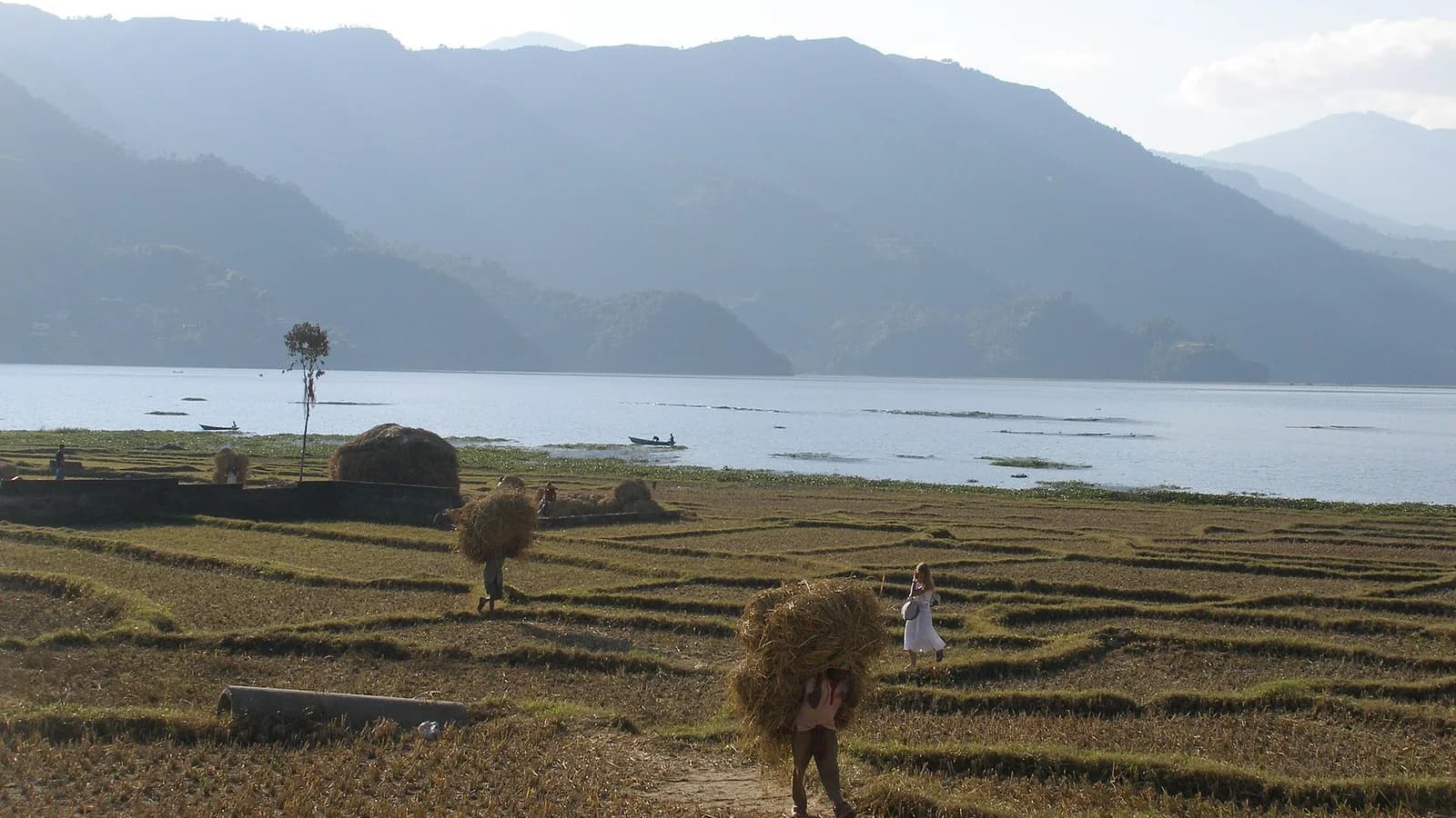 View over Pokhara and Phewa Lake with green hills, a common arrival point on the drive from Kathmandu