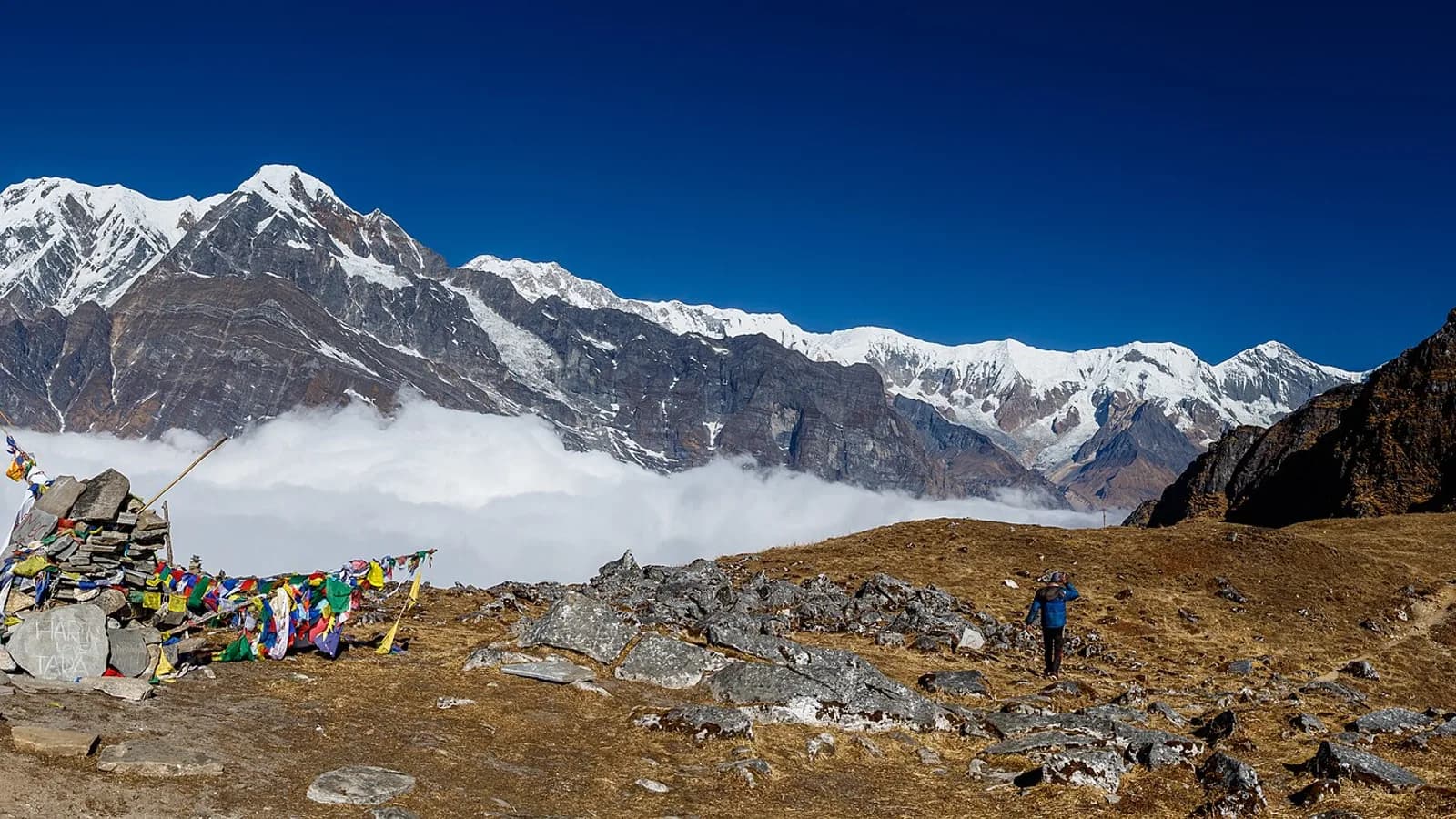 The fluted snow pyramid of Machhapuchhre (Fishtail), the peak that dominates the Mardi Himal ridge above Pokhara