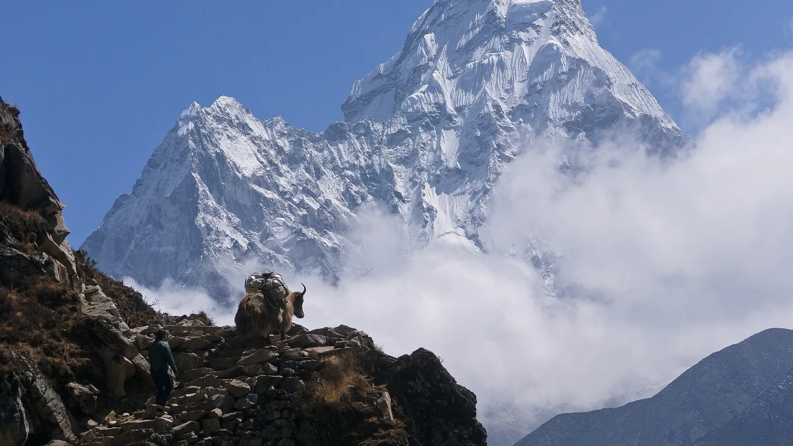 Ama Dablam rising above the trail between Phortse and Pangboche in the Everest region of Nepal