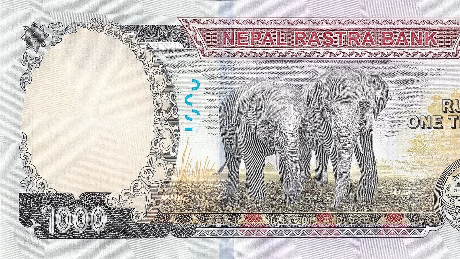 A spread of Nepalese rupee banknotes in several denominations