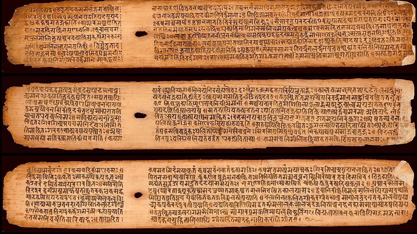 An old palm-leaf manuscript written in Devanagari script, the writing system used for the Nepali language